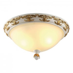 Потолочный светильник Arte Lamp Benessere A9570PL-2WG